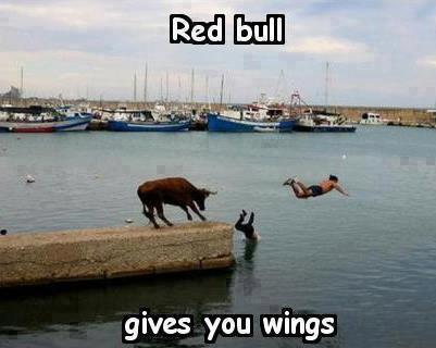 Red bull gives you wings