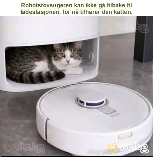 Robotstøvsugeren kan ikke gå tilbake til ladestasjonen, for nå tilhører den katten.