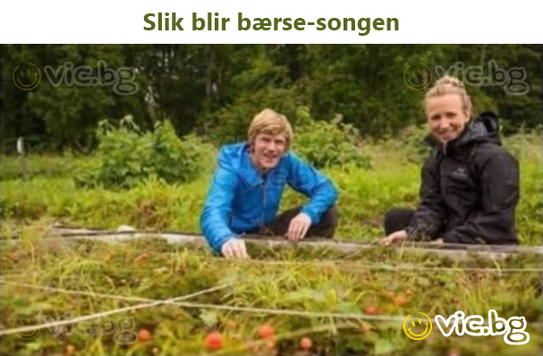 Slik blir bærse-songen