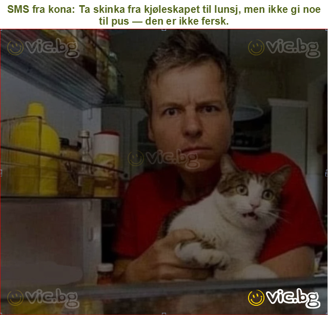 SMS fra kona: Ta skinka fra kjøleskapet til lunsj, men ikke gi noe til pus — den er ikke fersk.