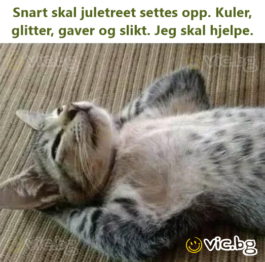 Snart skal juletreet settes opp. Kuler, glitter, gaver og slikt. Jeg skal hjelpe.