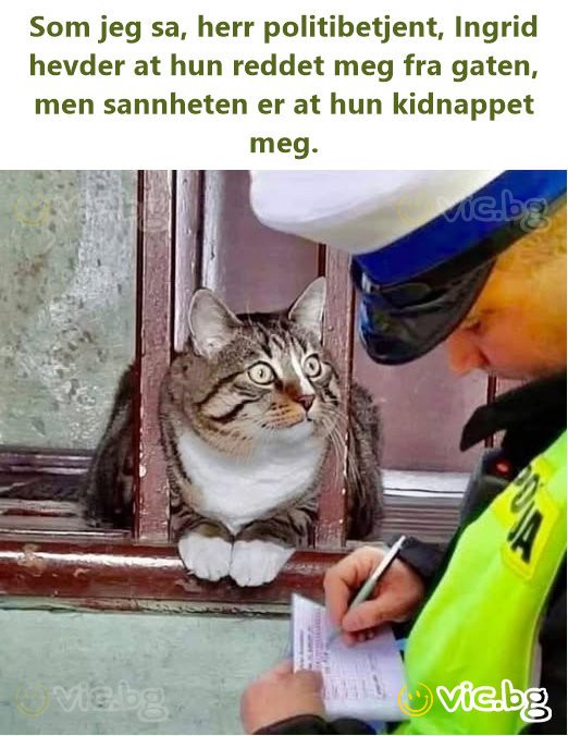 Som jeg sa, herr politibetjent, Ingrid hevder at hun reddet meg fra gaten, men sannheten er at hun kidnappet meg.