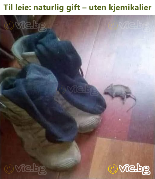 Til leie: naturlig gift – uten kjemikalier