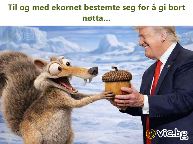 Til og med ekornet bestemte seg for å gi bort nøtta…