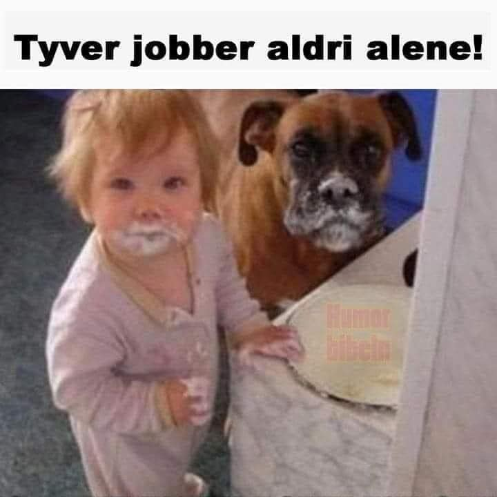 Tyver jobber aldri alene!