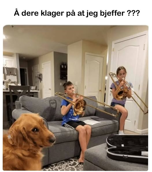 Å dere klager på at jeg bjeffer?!